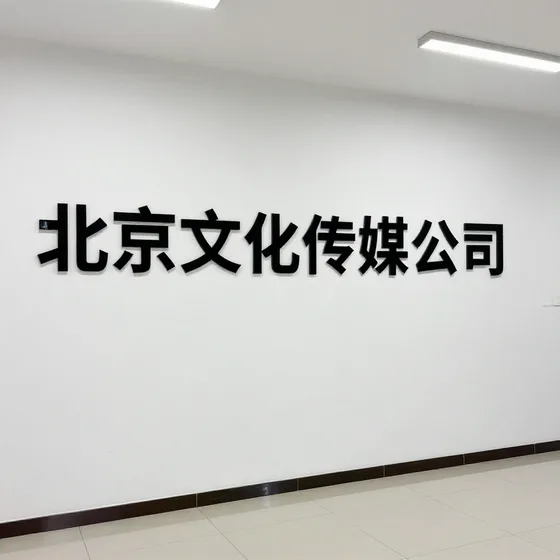 北京文化传媒公司